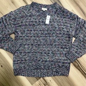 NWT Loft Purple/Blue Sweater Size Medium